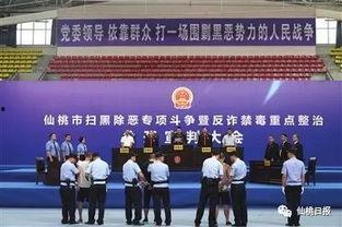 仙桃最新爆料事件新闻发布会,新闻发布会揭秘真相与进展